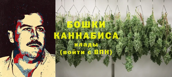 МДПВ Кодинск